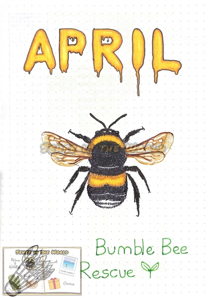 Bullet journal cover ideas for wildlife lovers - my April page design: bumblebee, drawn by. Sehee in the World