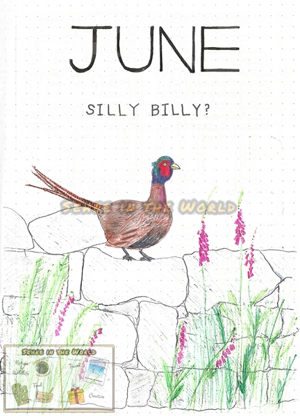 Bullet journal cover ideas for wildlife lovers - my June page design: pheasant, drawn by. Sehee in the World