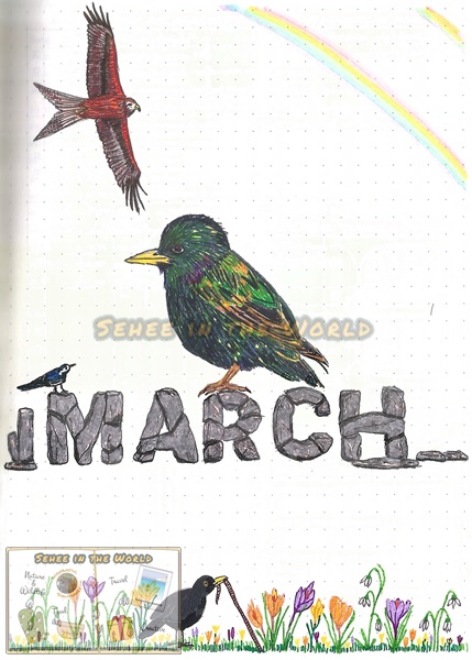 Bullet journal cover ideas for wildlife lovers - my March page design: redkite, starling, pied wagtail, blackbird, crocus, Stonehenge style text, drawn by. Sehee in the World