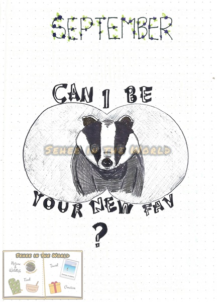 Bullet journal cover ideas for wildlife lovers - my September page design: badger, drawn by. Sehee in the World