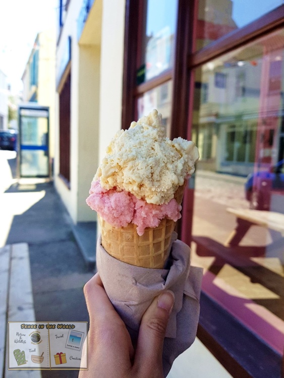 Sugar Hog Ice Cream - Lotus biscoff and strawberry & lime sorbet flavours (Alderney Trip) - Sehee in the World