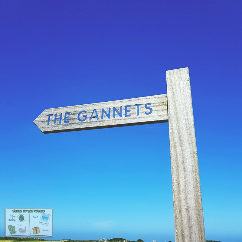 The Gannets road sign (Alderney Trip) - Sehee in the World